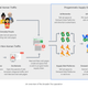 An infographic explaining the 3ve attacks posted by Google.